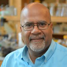 Dwayne Roach (@DwayneR0ACH)