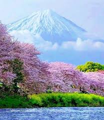 For The Japanese Mount Fuji Has Long Been The Ultimate Japan Mt Fuji Spring Colorbeautiful Via Mayu Mayu25060495 Ismail Damarseckin Merten 65 Beautiful Landscapes Beautiful Nature Cherry Blossom Japan