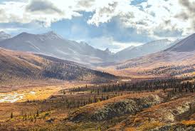 (more info) select a print size: Ausflug Ab Dawson City Kanada Tombstone Territorial Park