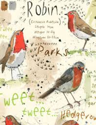 Details About A4 British Garden Bird Chart Ornithology Nature Print Poster