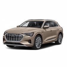 Image result for Siam Beige 2020 Audi