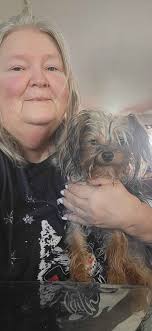 Found!!!!! Found!!!!!! My dog has gone missing around Meadowbrook. Her name  is Abby. If anyone sees her please call Linda 660-998-4901