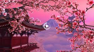 Free hd wallpaper, images & pictures of sakura trees cherry blossom, download photos of nature for your desktop. Redirecting In 2021 Scenery Wallpaper Sakura Tree Wallpaper Desktop Wallpaper Art