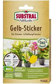 Neudorff 33433 Gelb Sticker 10 Stuck Amazon De Garten In 2020 Fliegen In Blumenerde Gelbsticker Topfpflanzen