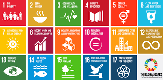 Thinking of using the official un sustainable development goals logo, color wheel, or 17 icons in your own communications materials? The Sustainable Development Goals How To Go From Aligning Icons To Driving Impact Edge Environment