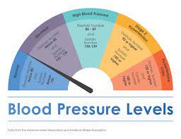 Blood pressure is the term used to describe the strength with which your blood pushes on the sides of your arteries as it's pumped around your body. Maintaining A Normal Blood Pressure In Seniors Elmcroft Com