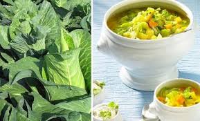 Spitzkohleintopf Rama Cremefine Rezepte Lebensmittel Essen Einfach Lecker