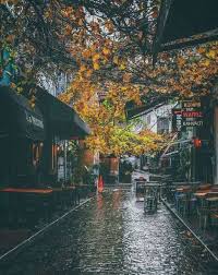 I Was From The City She Was From The Outside What If Winter Is Not A Place Outside Fall Photography Nature Nature Photography Autumn Rain