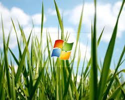 Most likely, you are in tablet mode: Windows Grass Wallpapers Group 66