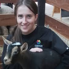 The Push-Up Challenge