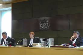 You can visit the web sites of all 14 courts of appeals, via courts in the main menu. Court Of Appeal Judges Hearing George Pell Appeal Abc News Australian Broadcasting Corporation