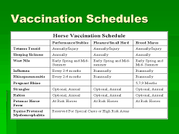 16 Extraordinary Equine Vaccination Chart