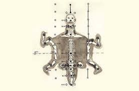 special features of abdominal acupuncture abdominal