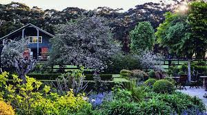 The ceo and founder of check into cash, inc. Alan Jones Garden Southern Highlands Nsw