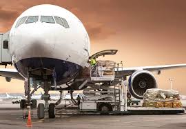 Contact an ipata pet airline listed below or a professional pet mover on our find a pet please visit alaska air cargo's website for more information. Securing The Air Cargo Supply Chain Freightwaves