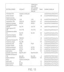 This includes middle ear infections, strep throat, pneumonia, traveler's diarrhea, and certain other intestinal infections. Us8328934b2 Crystal Of Gtp Cyclohydrolase Type Ib Google Patents