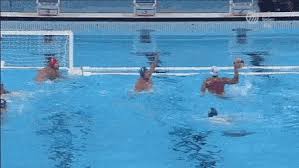 He took up the sport at the age of 10 at the szolnoki dózsa in budapest, and made his firs. Nagy Viktor Gif Nagy Viktor Waterpolo Discover Share Gifs