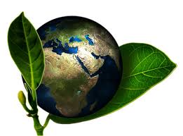 Jul 21, 2021 · u.s. Environmental Protection Services
