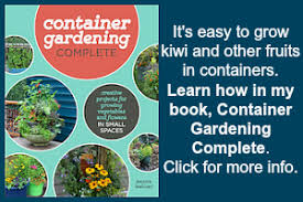 If you live in a zone suitable for growing kiwifruit, you can enjoy the opportunity to have fresh kiwis in your own backyard. Growing Kiwi Fruit It S Easier Than You Think