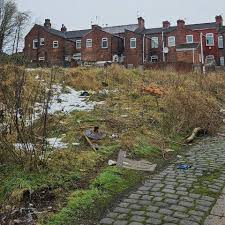 Fundraiser by Arika Cairnes : Evolution Fitness XL needs your help!