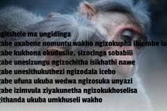 Pin by zulu poetry on uthando zulu love quotes love quotes words quotes. Facebook