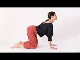 Pin On Exercises