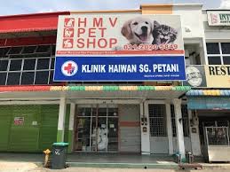 Hashedah bte mohamat hashim) klinik haiwan & surgeri wawasan 27, jalan wawasan 2/22, pusat bandar puchong, 47100 selangor (dr. Animal Clinic Sg Petani Kedah 60 11 2001 1888