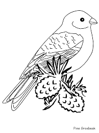 Printable coloring pages for kids, pictures and sheets you can print and color. Coloring Book Birds Coloring Home