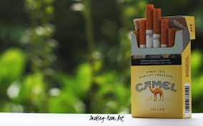 However, at the time, the brands with the lowest in tar and nicotine in the us were: Camel Yellow Cigarettes Smoking Room