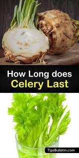 How Long Does Celery Last