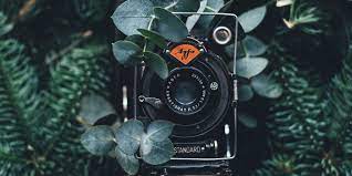 Well, your search ends at picjumbo. 15 Of The Best Free Stock Image Sites To Use Now By Start Digital The Startup Medium