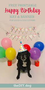 For this reason, the party venue and the birthday table should also be decorated accordingly. How To Celebrate A Dog Birthday Party Free Printable Party Kit Kol S Notes