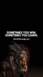 All pictures and horses wallpapers for mobile are free of charge. Dressage Motivational Phone Wallpapers How To Dressage