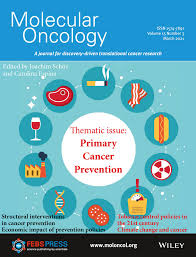 Freelancer 2d animator digital illustrator in photoshop and krita (and others). Molecular Oncology Wiley Online Library