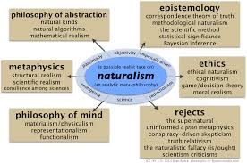 Philosophy In Figures Philosophy Of Science Philosophy Philosophy Theories