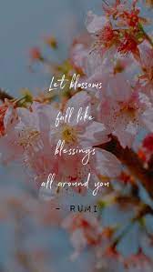 Let Blossoms Fall Like Blessings All Around You Blossom Let It Be Blessed