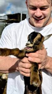 MIKE SOMMERFELD🔥Quien GANARÁ el Mister OLYMPIA‼️🏆⭕️CLASSIC PHYSIQUE/  Genética VS Trabajo QUE BUSCAN?? #bodybuilding #Gym #Fitness  #gymmotivation🏋️‍♀️ #gymlife #gymlover #finessmotivation #classicphysique  #gimnasio #muscle #workoutmotivation ...