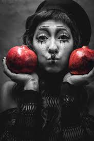 Steve Malone Photography