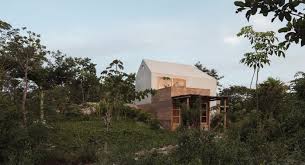 Image result for Galopina