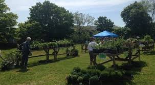 May garden offers a wide variety on its menu. New Bedford S Haskell Gardens Spring Plant Sale Starts May 11th New Bedford Guide