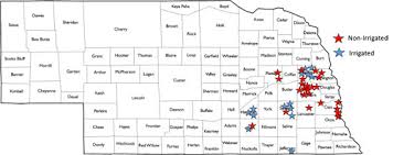 Nebraska On Farm Research Corn Seeding Rate Studies 2010