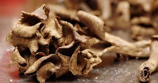 Recouvrir avec le reste de pommes de terre en plaçant les tranches du dessus en écailles, décorer avec les trompettes restantes. C Est La Saison Des Champignons Nos Recettes Pour Cuisiner Avec Les Trompettes De La Mort