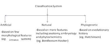 plant kingdom classification class 11 notes pdf download