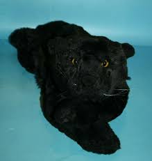 Animal Alley Black Panther Wild Cat Black Stuffed Plush Gold Eyes Soft Toys R Us Ebay In 2020 Wild Cats Animals Cats