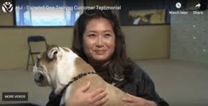 Congratulations on adding a puppy to the family but let's take a look at what to expect… Dog Boarding For San Francisco And Bay Area Pooches Dairydell Canine Dog Training And Boarding