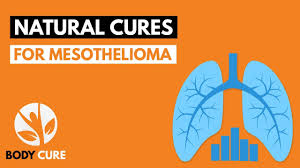 5 Natural Cures For Mesothelioma | Body Cure - YouTube