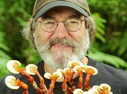 Paul Stamets, a legend of the mushroom world- Alchimia Grow Shop