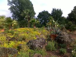 Botanischer Garten Dusseldorf