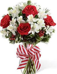 Pin On Flowers Garden For Happy Life