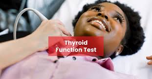 Image result for Thyroid Function Test
